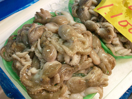 Pile of small raw octopus